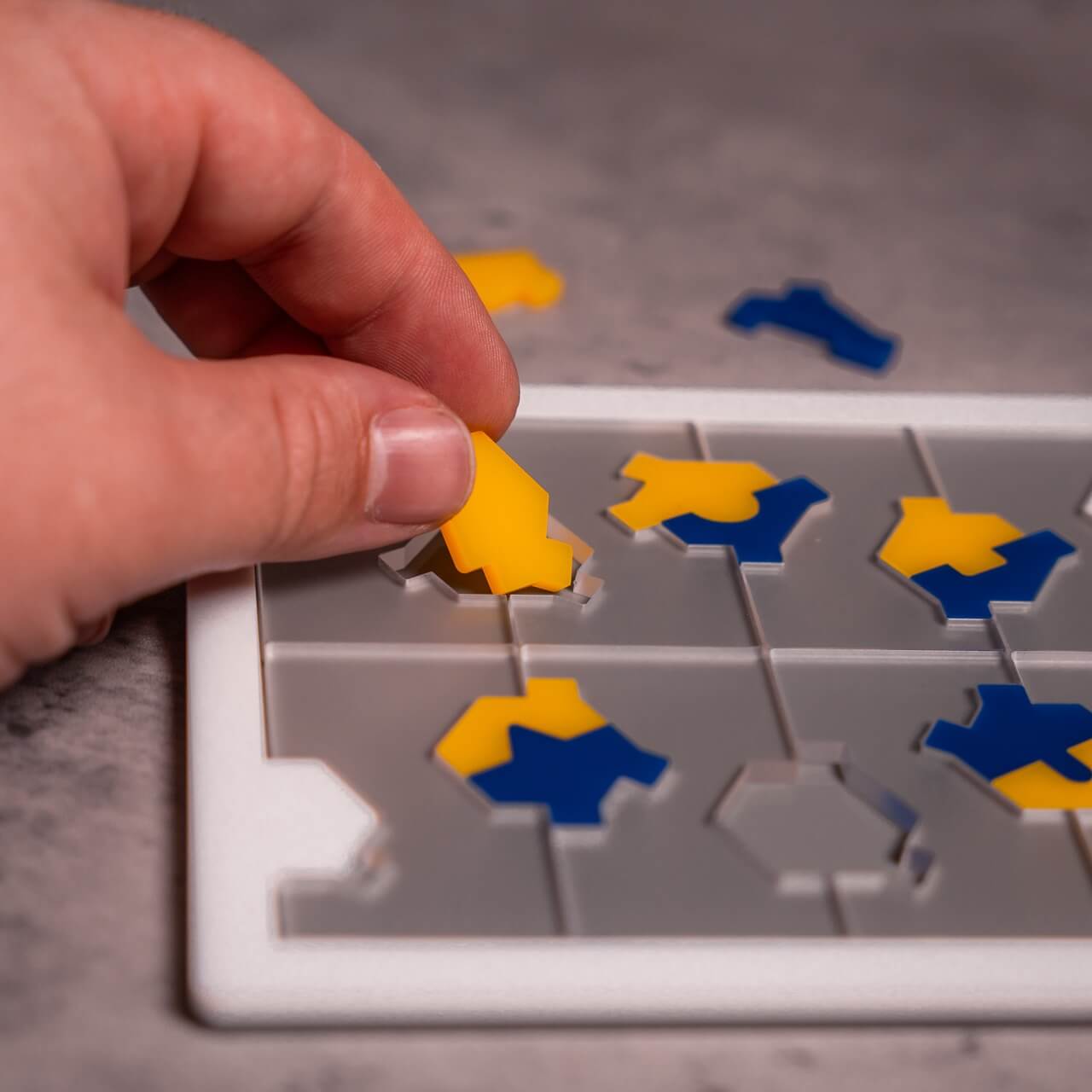 Oleo 20 Puzzle