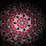 Twilight Ruby Kaleidoscope