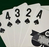 ACES Plastic Playing Cards Twin Set