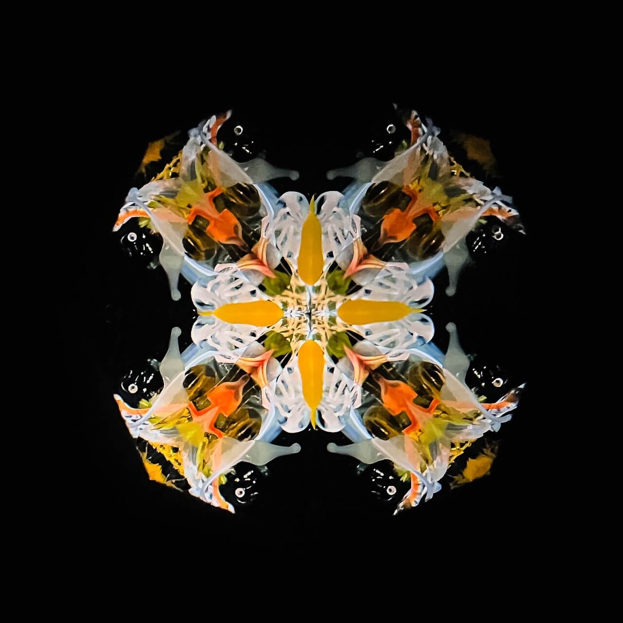 Arabesque Kaleidoscope