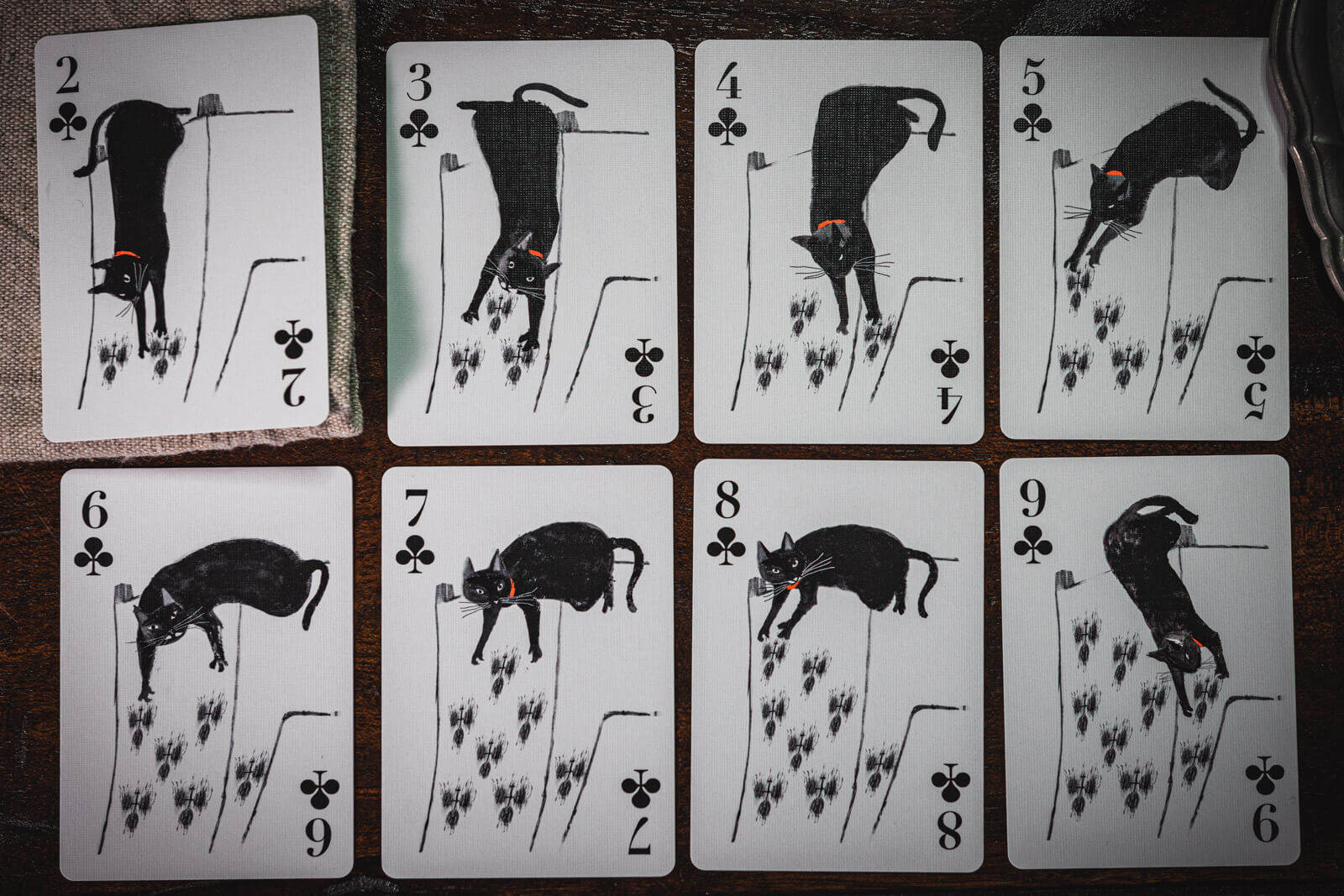 Kitten Club Playing Cards