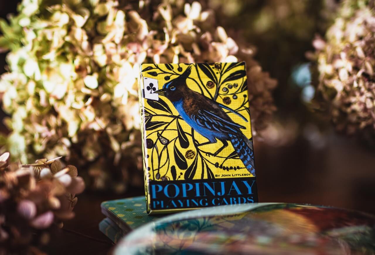 Box of Popinjay playing cards with a bird illustration on a floral background