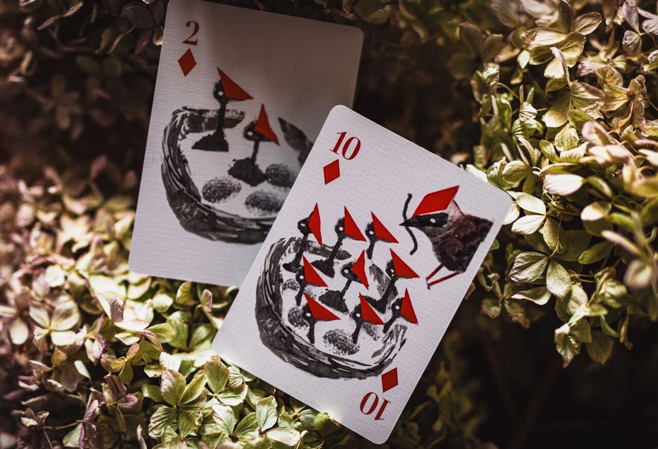 Two playing cards, a 2 of diamonds and a 10 of hearts, on a textured surface with green leaves.