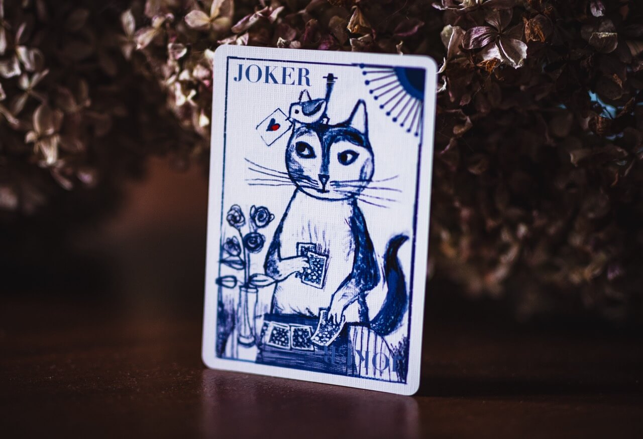 Playing card with a cat design labeled 'Joker' on a dark background