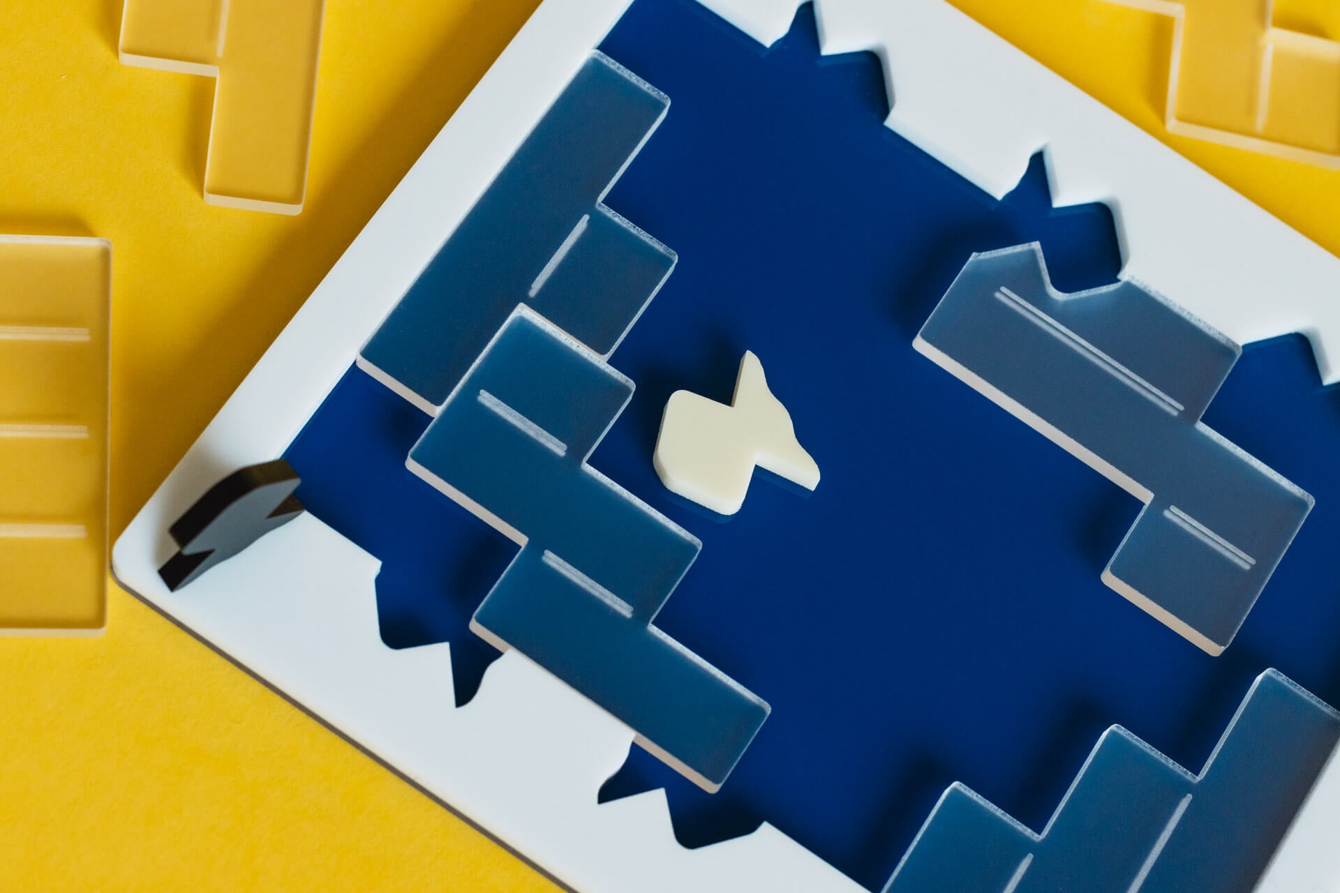 Pond 12 Puzzle