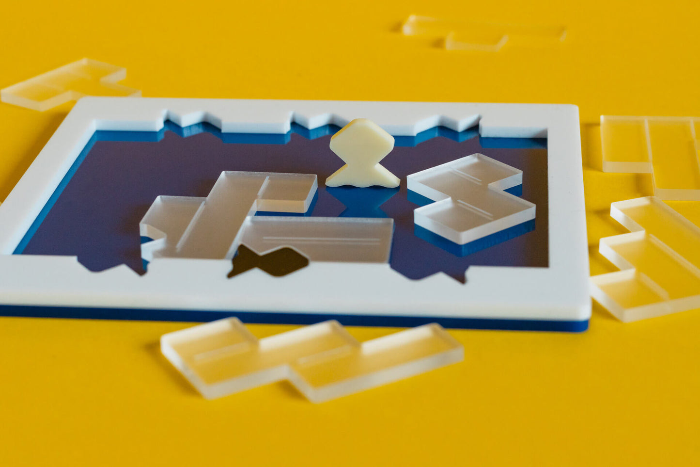 Pond 12 Puzzle