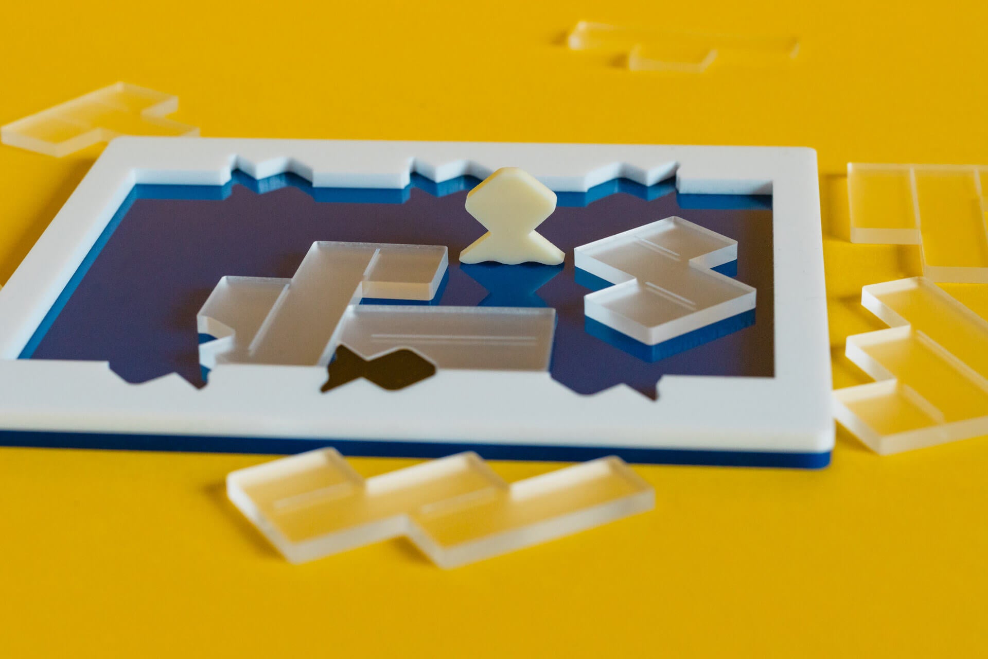 Pond 12 Puzzle