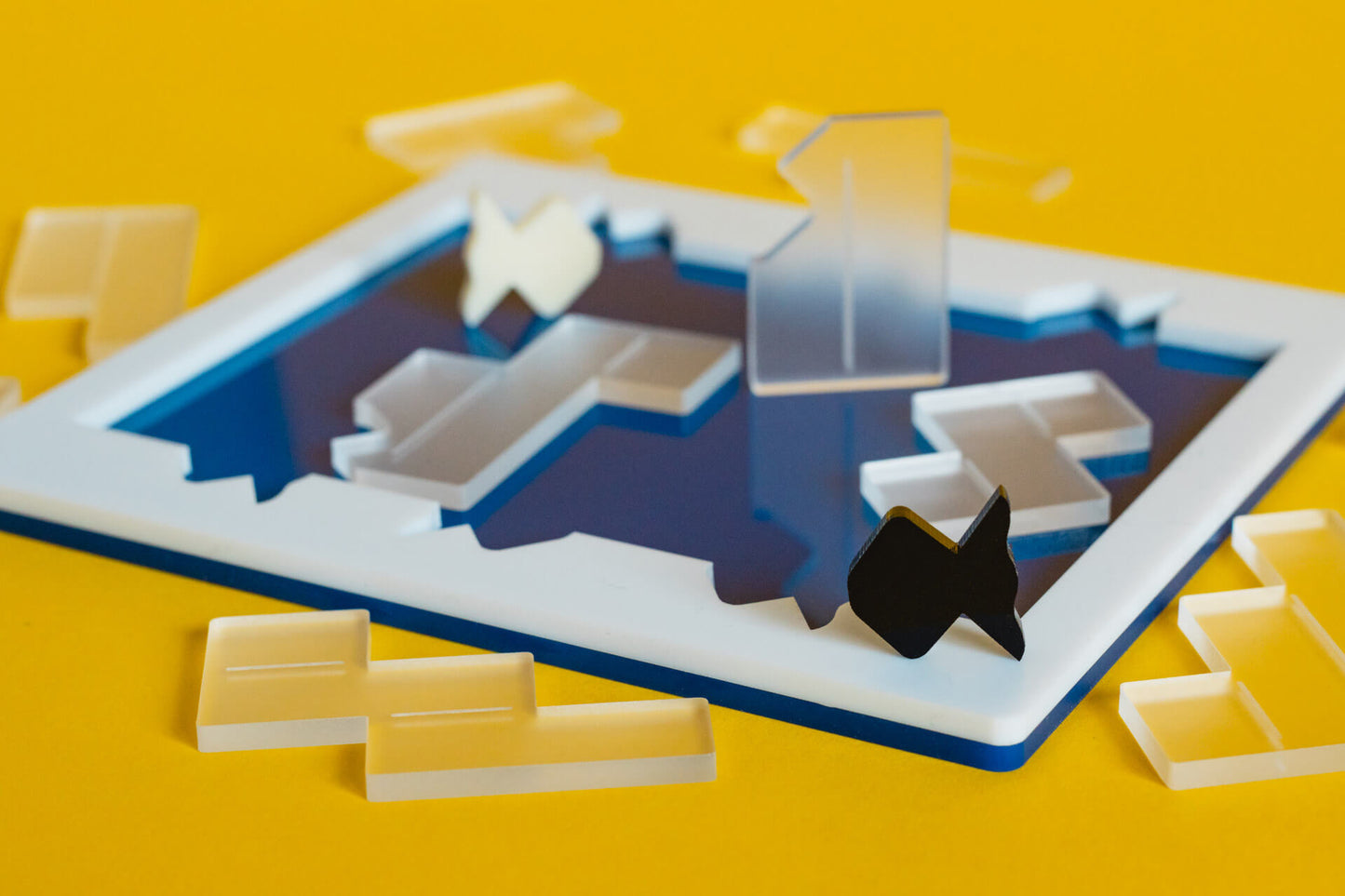 Pond 12 Puzzle