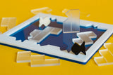 Pond 12 Puzzle