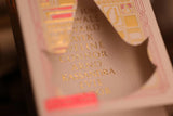Assassin's Creed Playing Cards: Hidden Blade