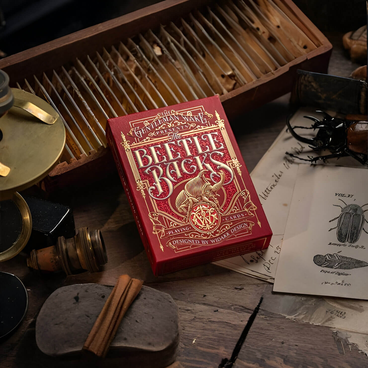 Beetle Back Playing Cards