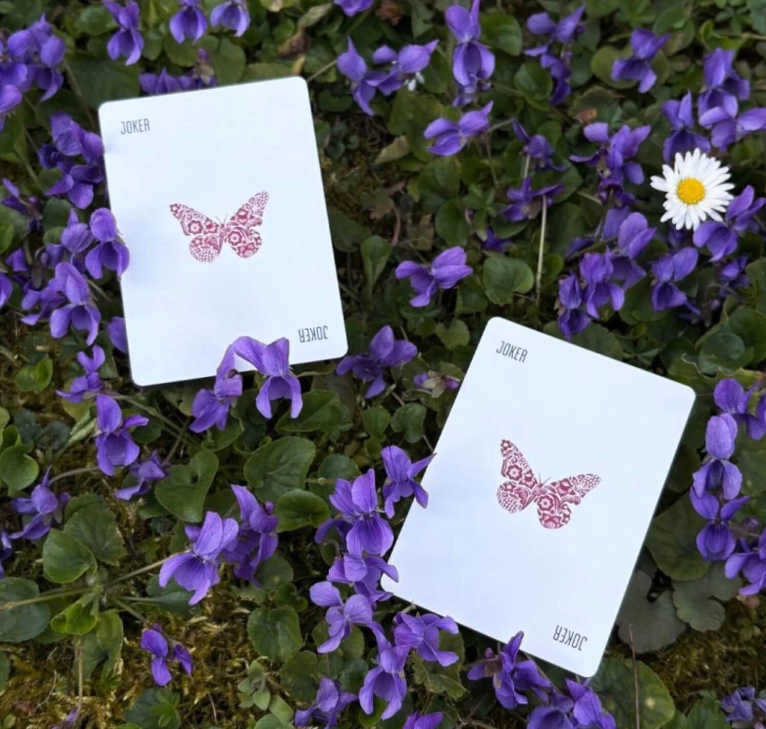 Butterfly Workers Playing Cards