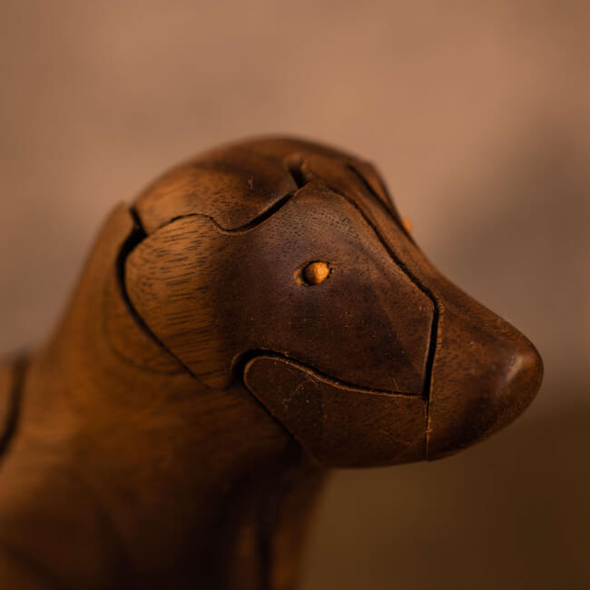 Labrador Retriever Puzzle