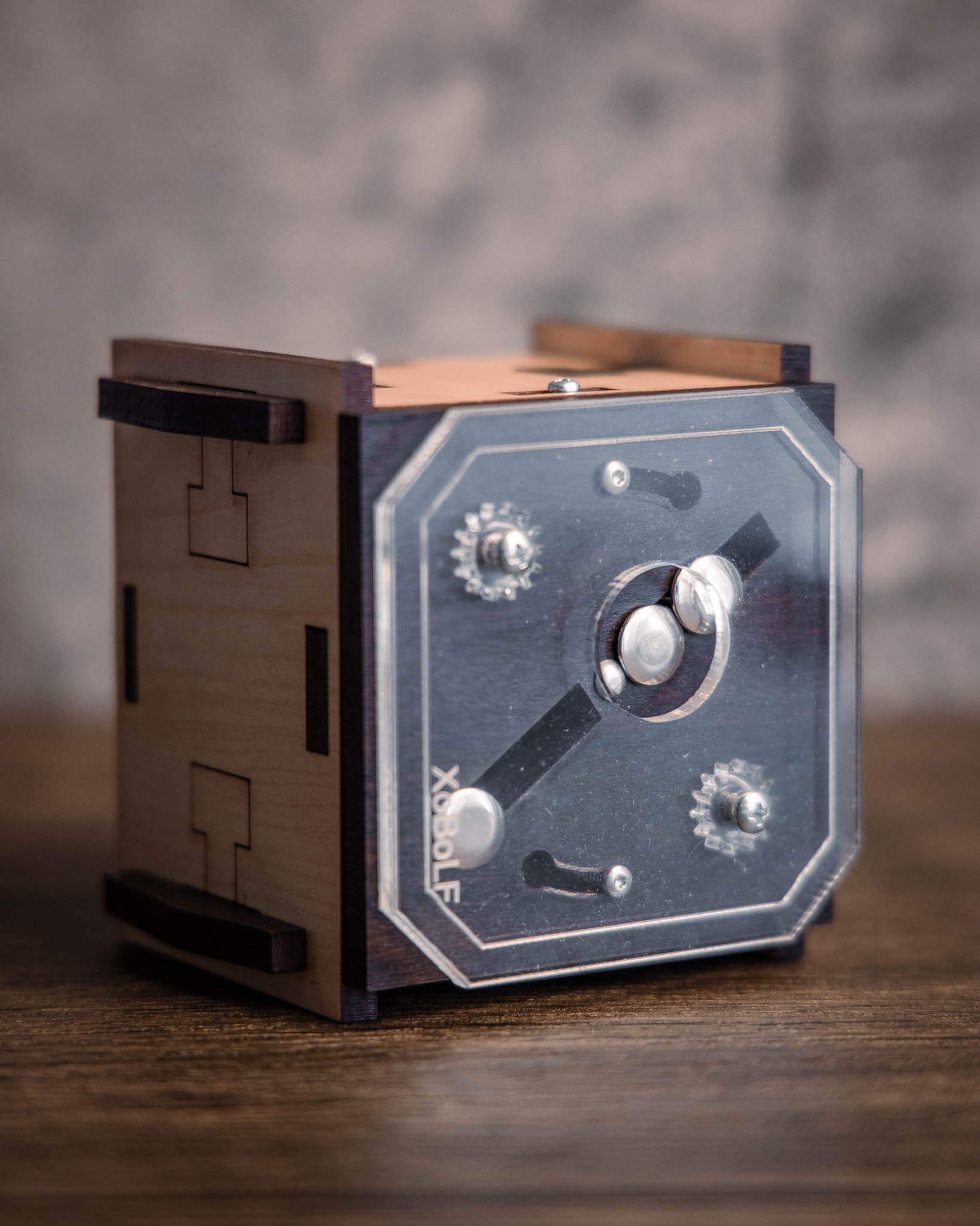 Flohcircus Puzzle Box