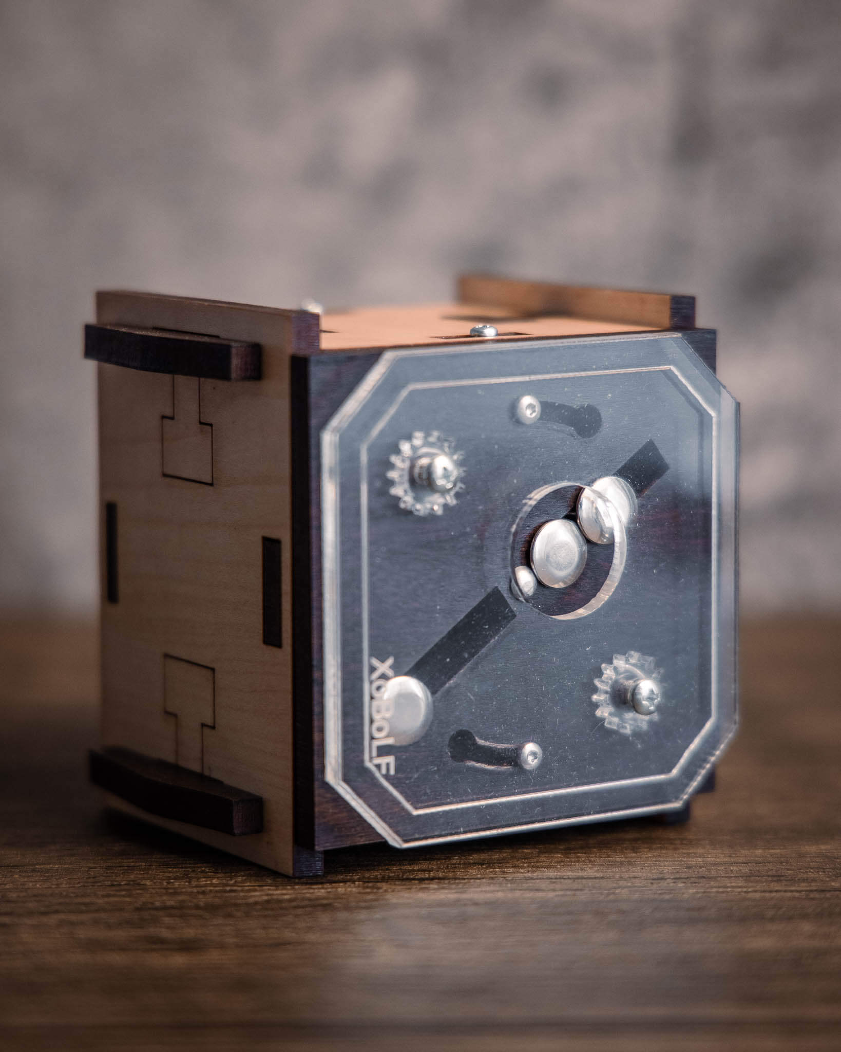 Flohcircus Puzzle Box