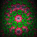 Cosmic Love Kaleidoscope
