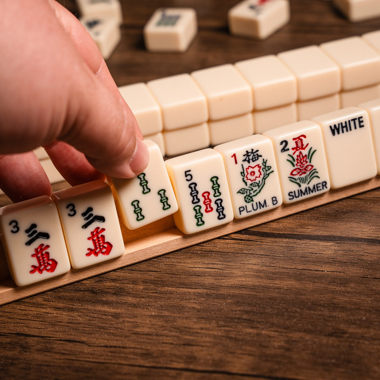 Mahjong Set