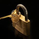 DanLock Puzzle
