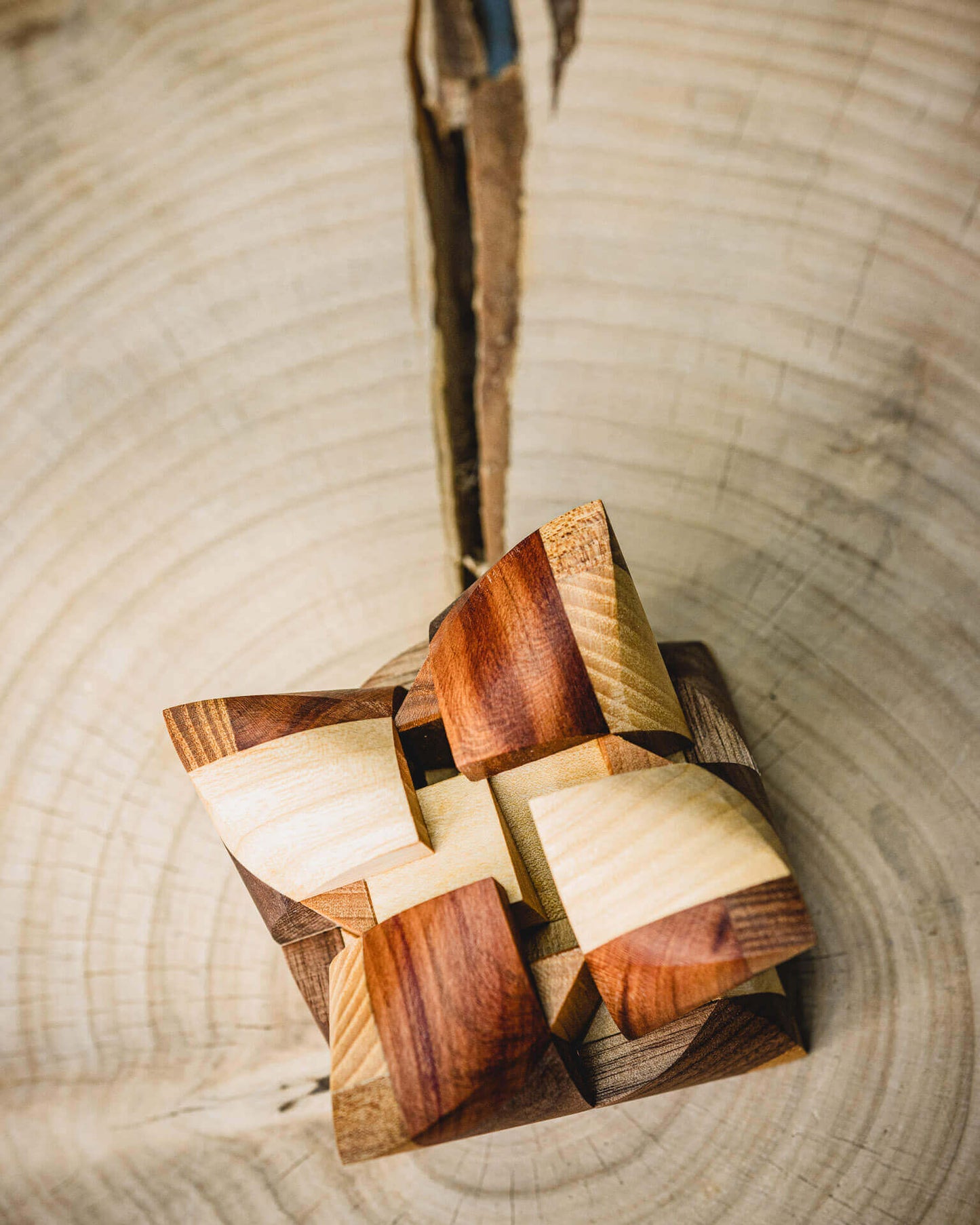 Dual Tetrahedron Puzzle