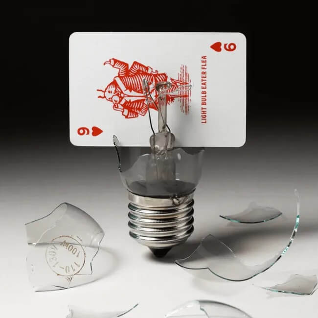 Flea Circus Miniature Playing Cards
