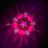 Happy Flower Kaleidoscope