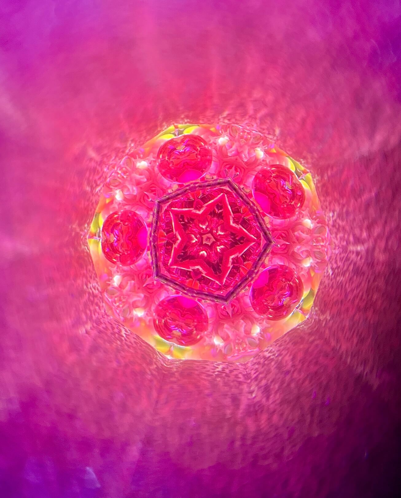 Happy Flower Kaleidoscope