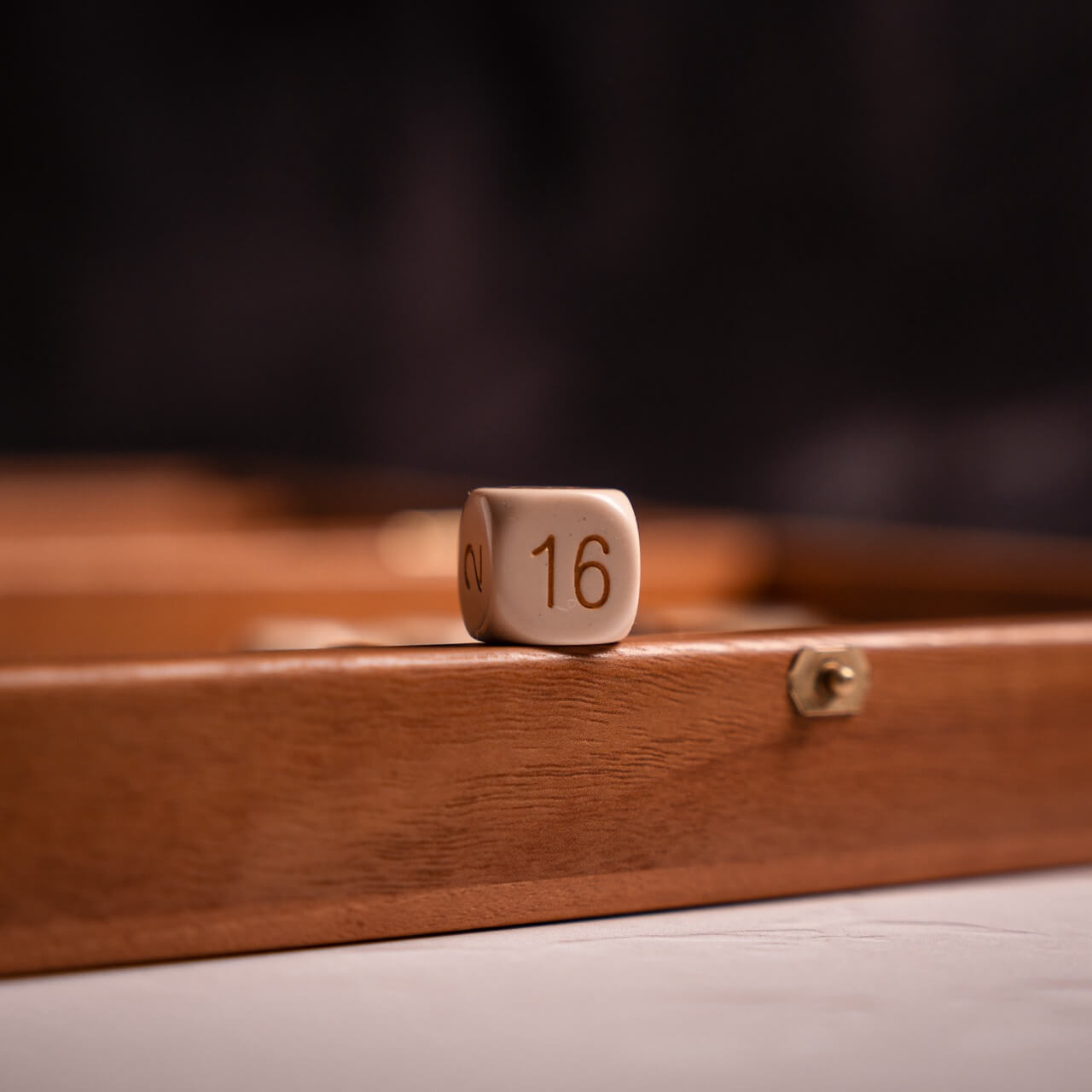 Cork Backgammon Set