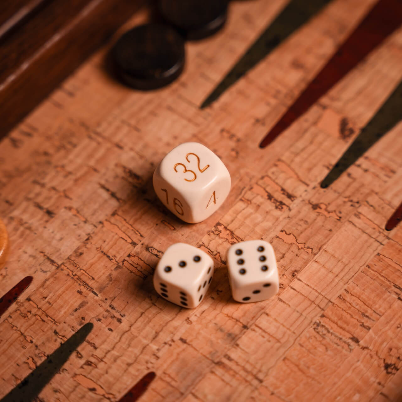 Cork Backgammon Set