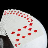 NASA Meatball Playing Cards