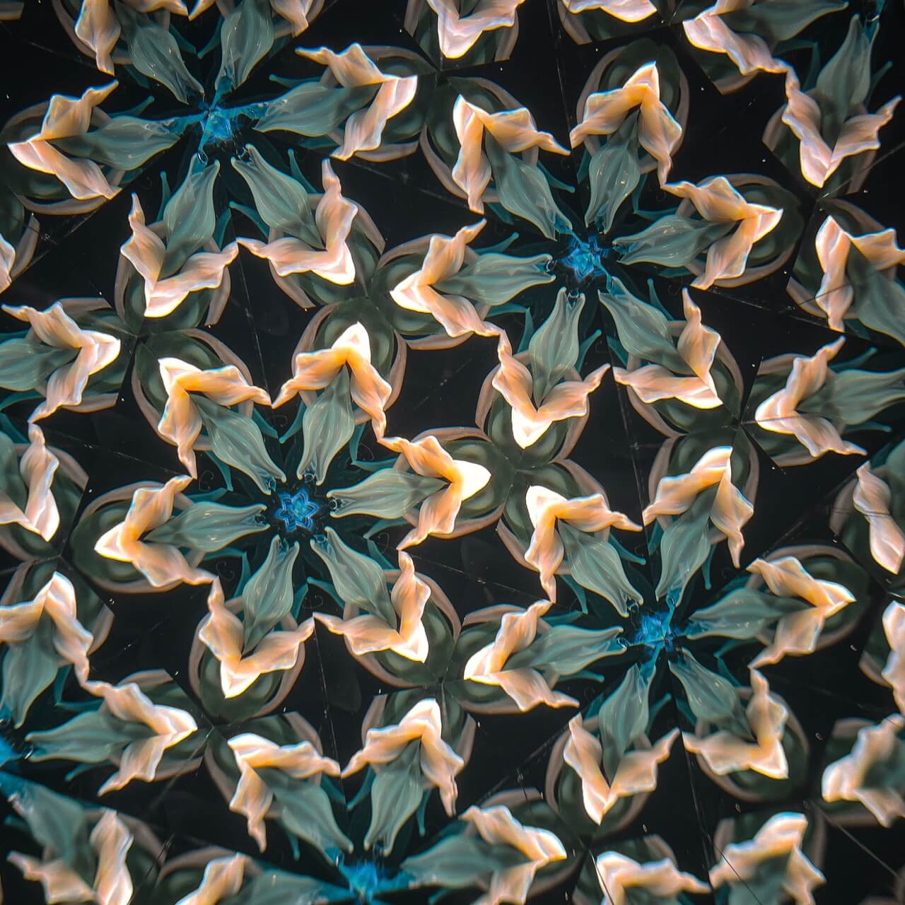Oasis Kaleidoscope