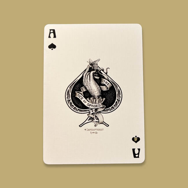 Lepidopterist Playing Cards