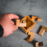 Sixel Puzzle
