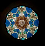 Seashells Kaleidoscope