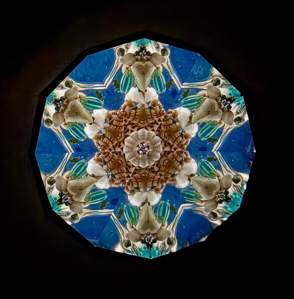 Seashells Kaleidoscope