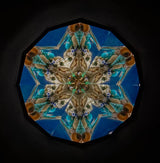Seashells Kaleidoscope