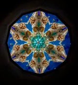 Seashells Kaleidoscope