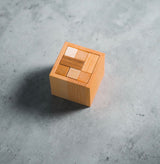 Sixel Puzzle