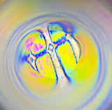 Circles Kaleidoscope