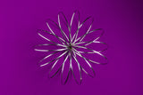 Toroflux® Kinetic Sculpture