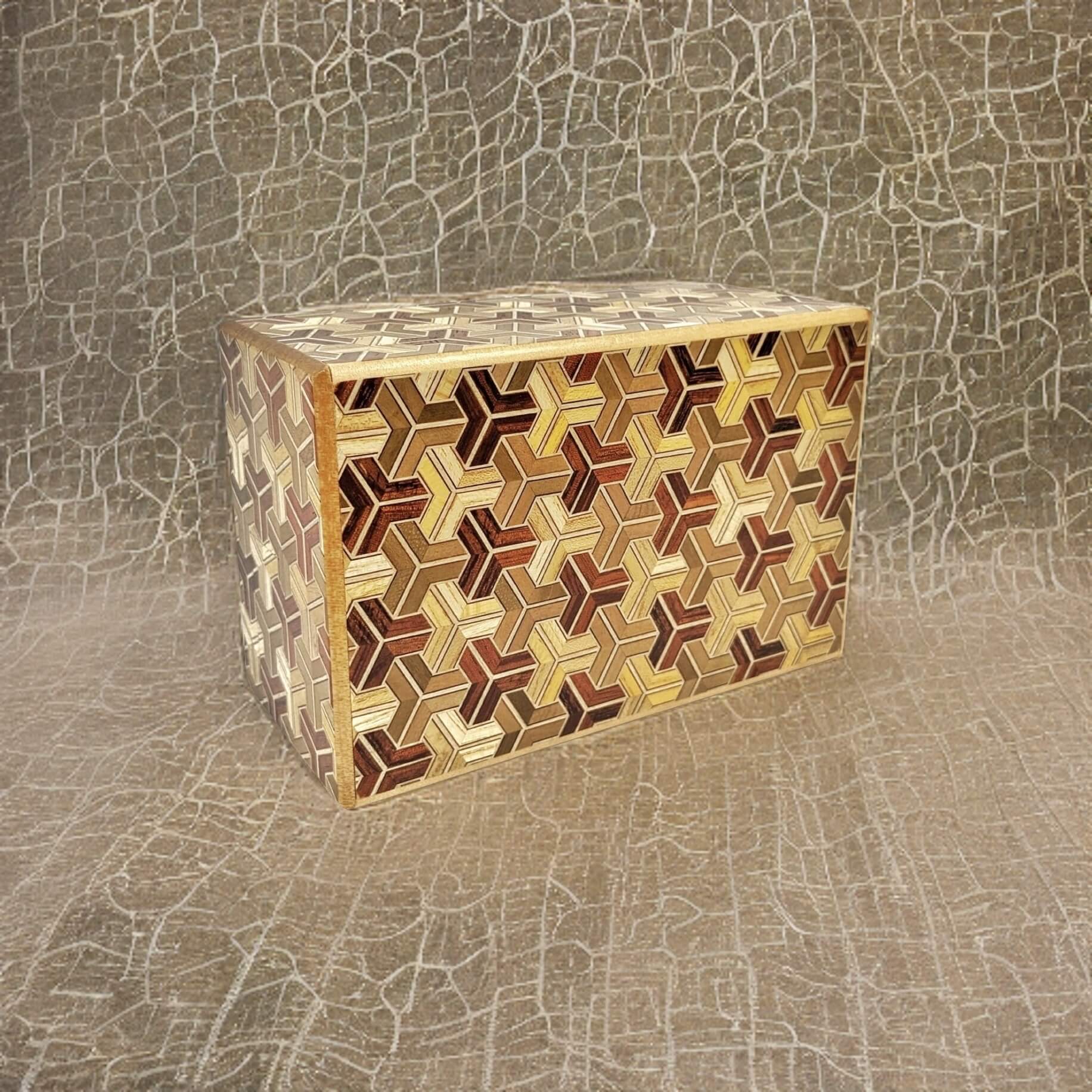 Tortoise Shell Puzzle Box