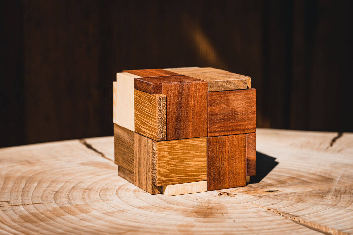 Try-Cycle Puzzle