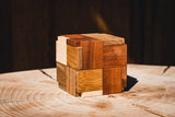 Try-Cycle Puzzle