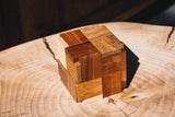 Try-Cycle Puzzle