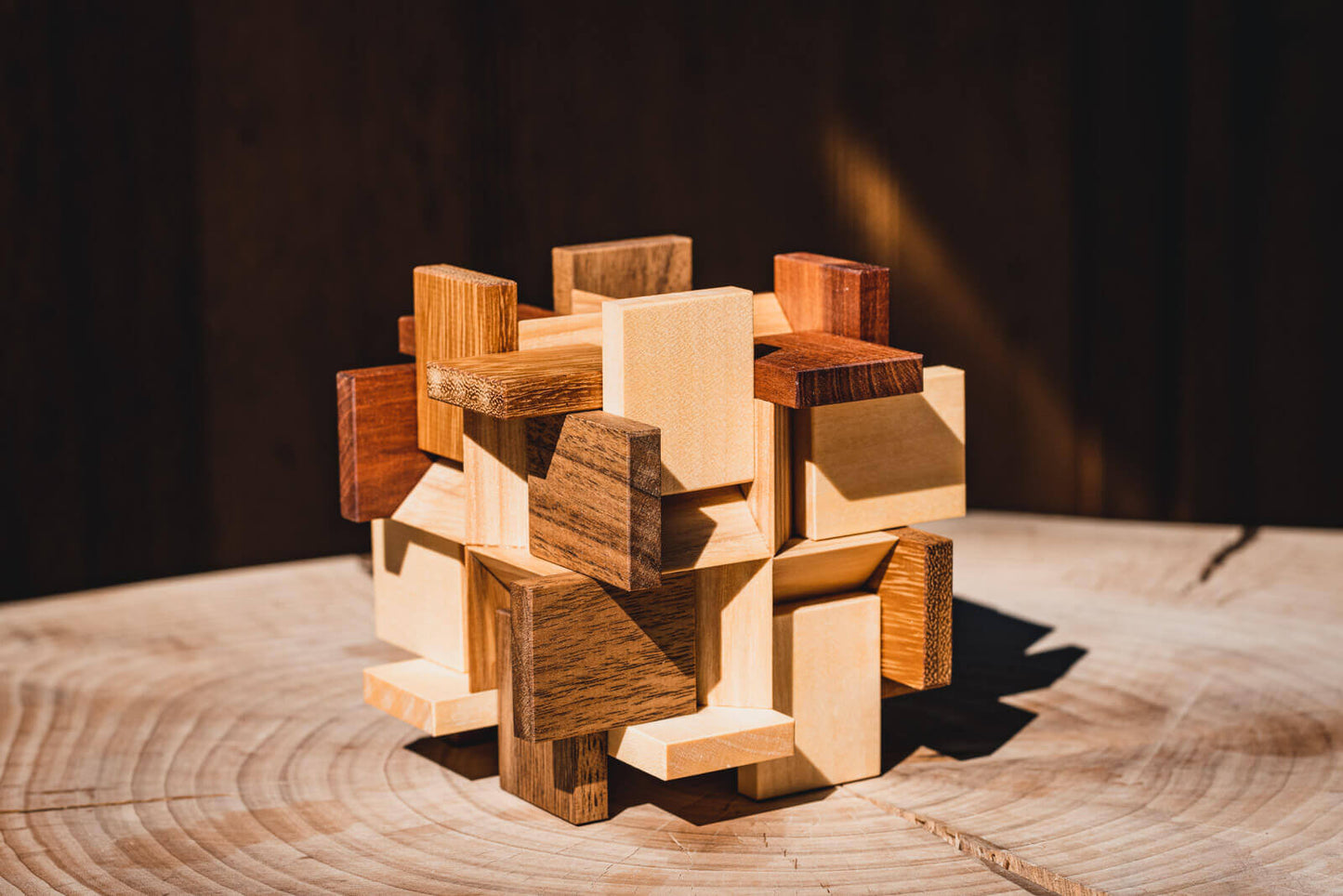 Try-Cycle Puzzle