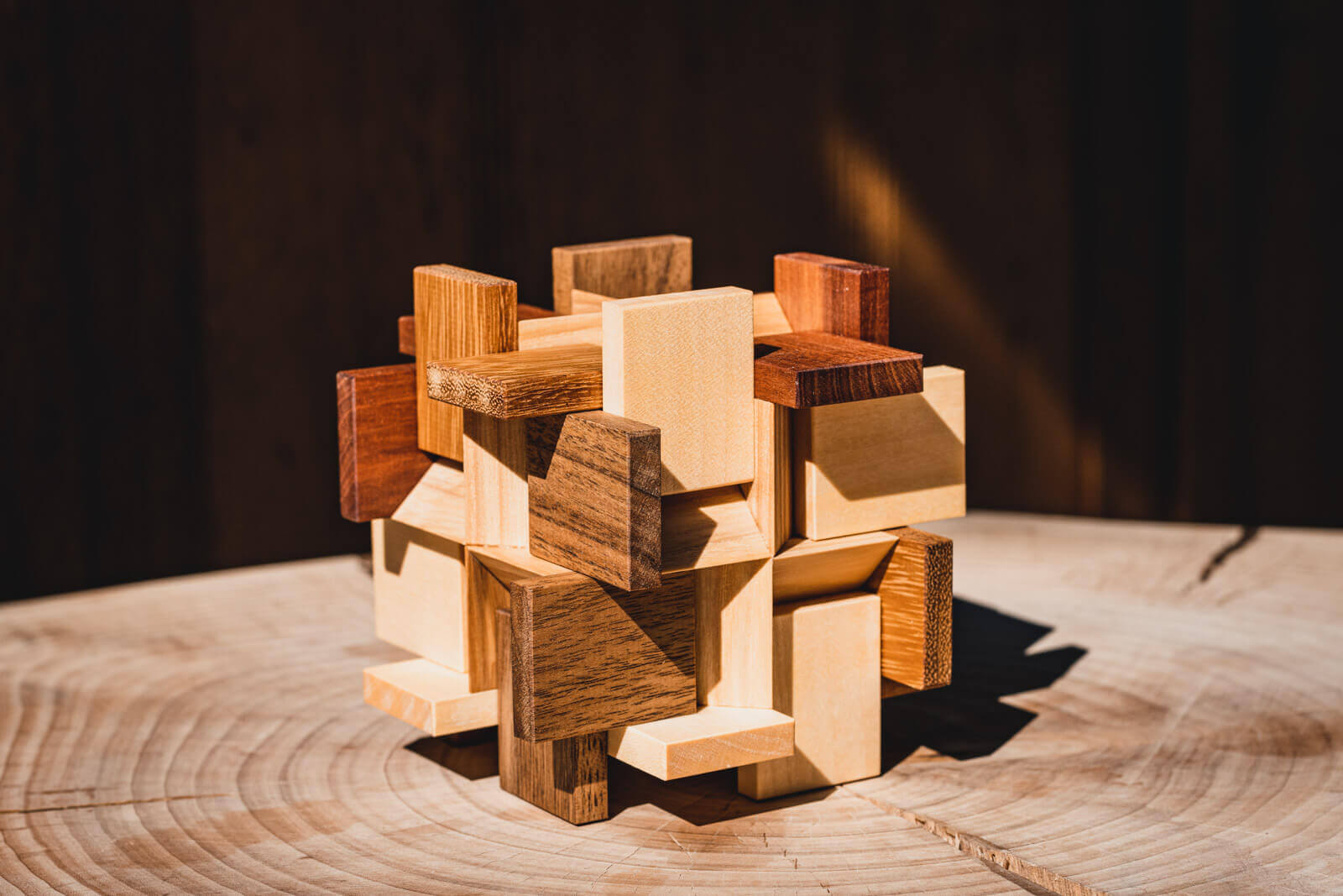 Try-Cycle Puzzle