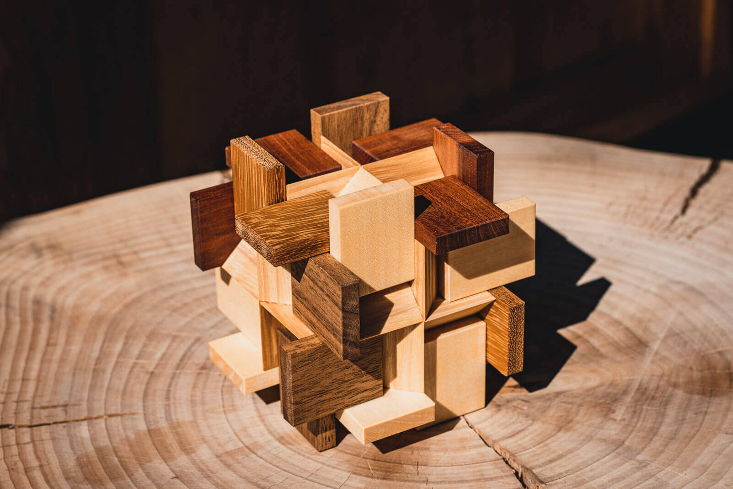 Try-Cycle Puzzle