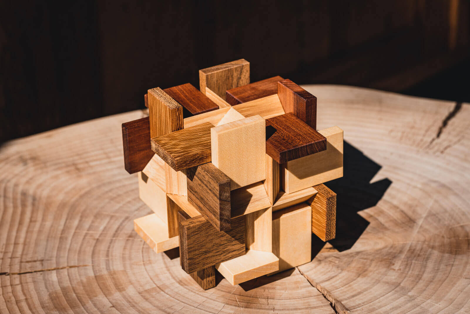 Try-Cycle Puzzle