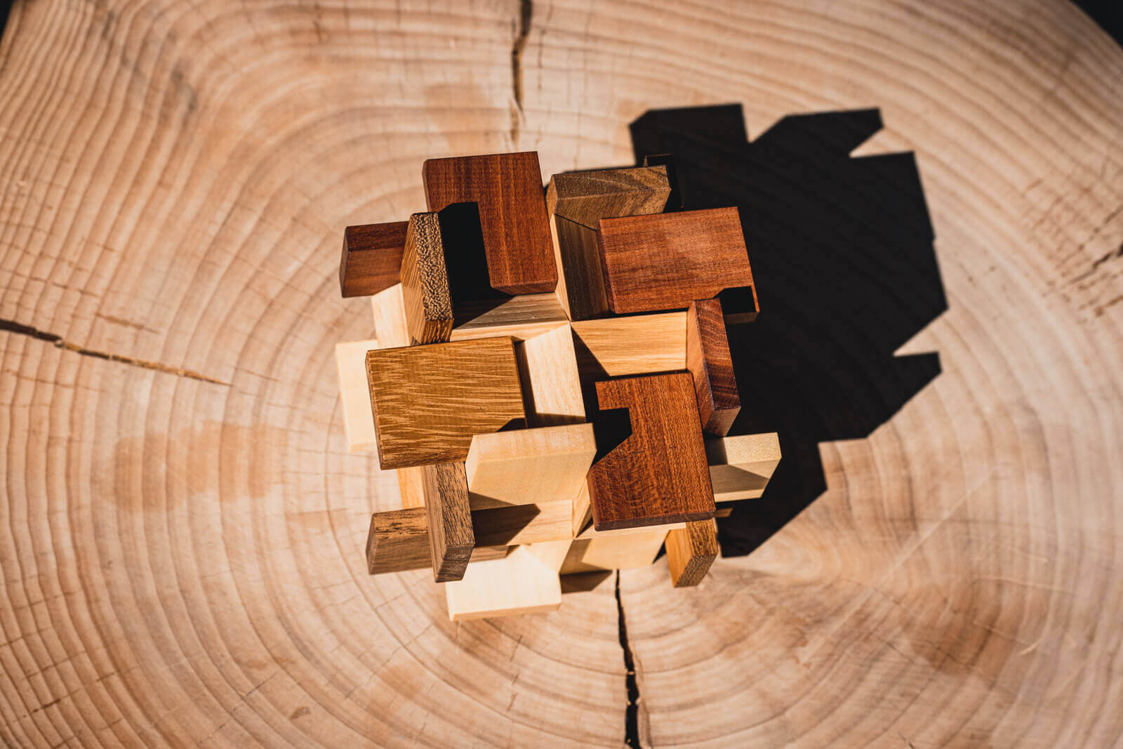 Try-Cycle Puzzle