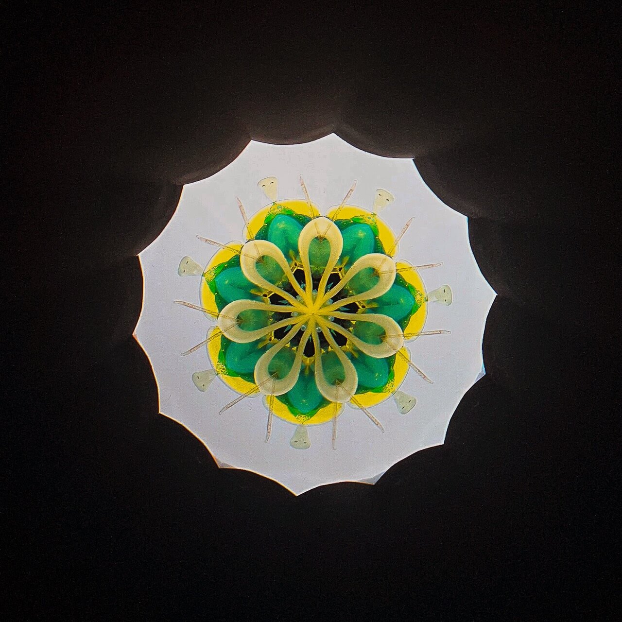 Twin Reflections Kaleidoscope