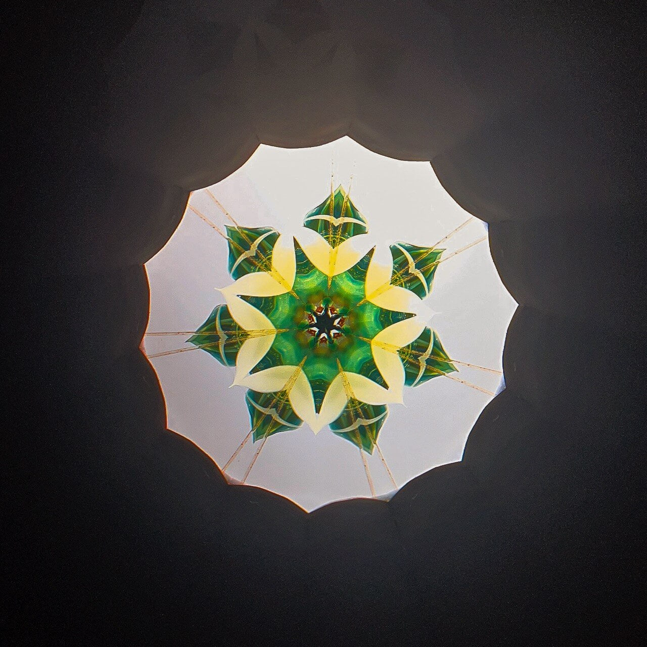 Twin Reflections Kaleidoscope